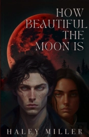 How Beautiful The Moon Is