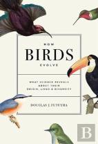 How Birds Evolve