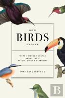 How Birds Evolve