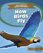 How Birds Fly