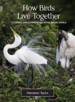Bertrand.pt - How Birds Live Together
