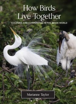 Bertrand.pt - How Birds Live Together
