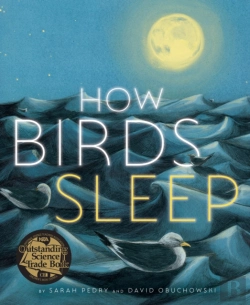 Bertrand.pt - How Birds Sleep