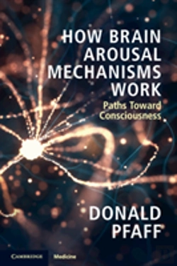 Bertrand.pt - How Brain Arousal Mechanisms Work