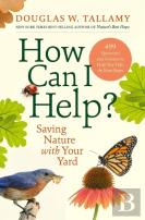 How Can I Help?