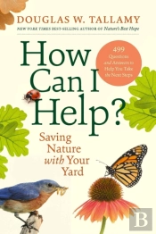 How Can I Help?