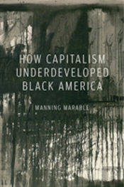 How Capitalism Underdeveloped Black America