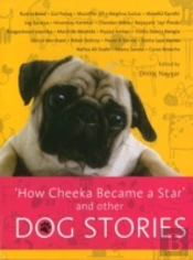 How Cheeka Became A Star