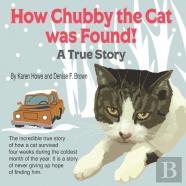 How Chubby The Cat Was Found!