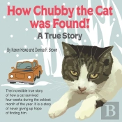 How Chubby The Cat Was Found!