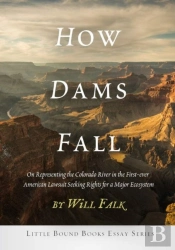 How Dams Fall
