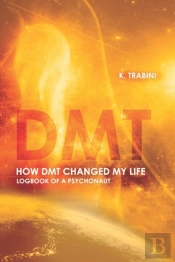 How Dmt Changed My Life