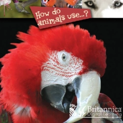 Bertrand.pt - How Do Animals Use...?
