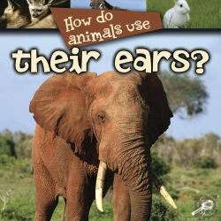 Bertrand.pt - How Do Animals Use... Their Ears?