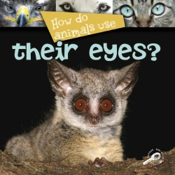 Bertrand.pt - How Do Animals Use... Their Eyes?