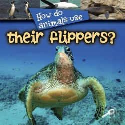 Bertrand.pt - How Do Animals Use Their Flippers?