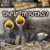 How Do Animals Use... Their Mouths?