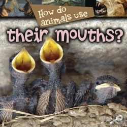 Bertrand.pt - How Do Animals Use... Their Mouths?
