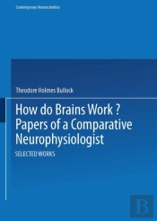 How Do Brains Work?