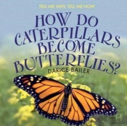 Bertrand.pt - How Do Caterpillars Become Butterflies?
