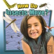 How Do Insects Move?