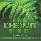 How Do Non-Seed Plants Reproduce? A Lesson On Spores | Life Cycle Books Grade 5 | Children'S Biology Books