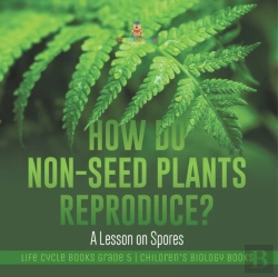 Bertrand.pt - How Do Non-Seed Plants Reproduce? A Lesson On Spores | Life Cycle Books Grade 5 | Children'S Biology Books