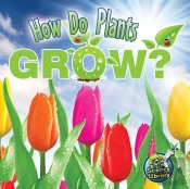 How Do Plants Grow?