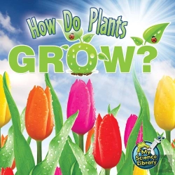 Bertrand.pt - How Do Plants Grow?