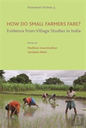 How Do Small Farmers Fare? Â€“ Evidence From Village Studies In India
