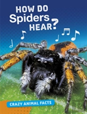 How Do Spiders Hear?