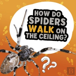 Bertrand.pt - How Do Spiders Walk On The Ceiling?