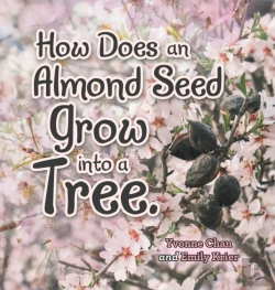 Bertrand.pt - How Does An Almond Seed Grow Into A Tree?