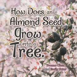 Bertrand.pt - How Does An Almond Seed Grow Into A Tree?