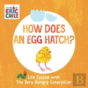How Does An Egg Hatch?