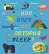How Does An Octopus Sleep?