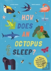 How Does An Octopus Sleep?