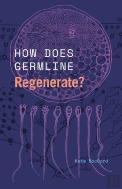 Bertrand.pt - How Does Germline Regenerate?