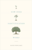 How Does Sanctification Work?
