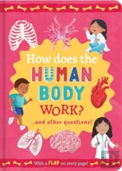 How Does The Human Body Work?
