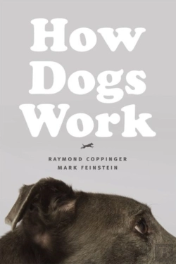 Bertrand.pt - How Dogs Work