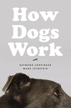 Bertrand.pt - How Dogs Work