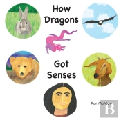 How Dragons Got Senses