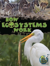 How Ecosystems Work