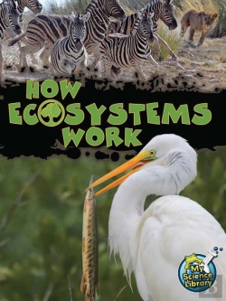 Bertrand.pt - How Ecosystems Work
