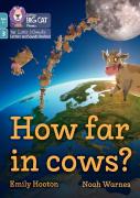 How Far In Cows?