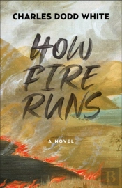 How Fire Runs