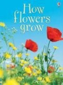 Bertrand.pt - How Flowers Grow