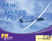 How Gliders Fly