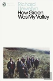 How Green Was My Valley